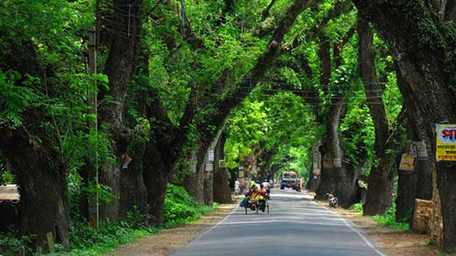 Moratorium on felling Jessore road trees