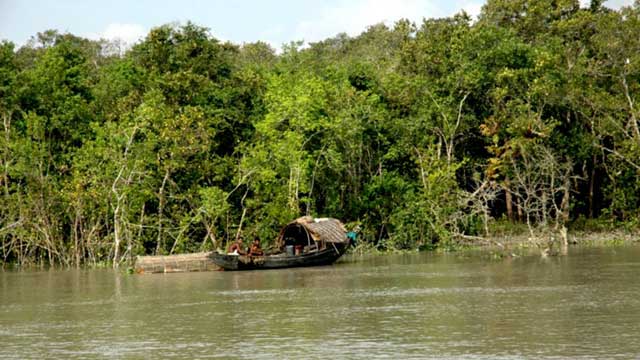 Plan underway to monitor Sundarbans with drones