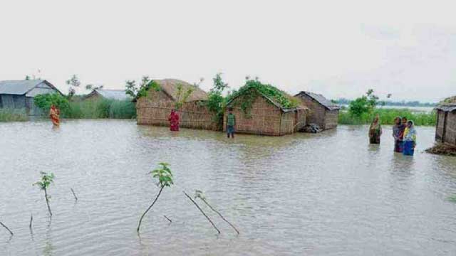 Sunamganj Flood: Fisheries sector suffers a loss of 'TK 21.45 cr'