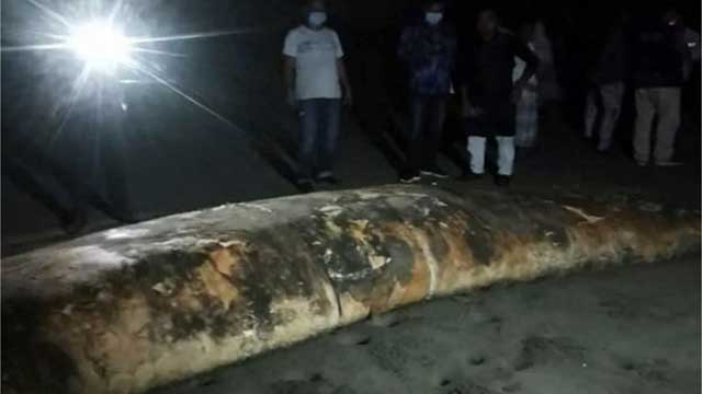 Body of giant whale washes up on Teknaf sea-shore