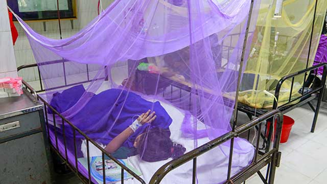 Dengue fever: 343 hospitalised in a day, over 2000 cases recorded in 7 days
