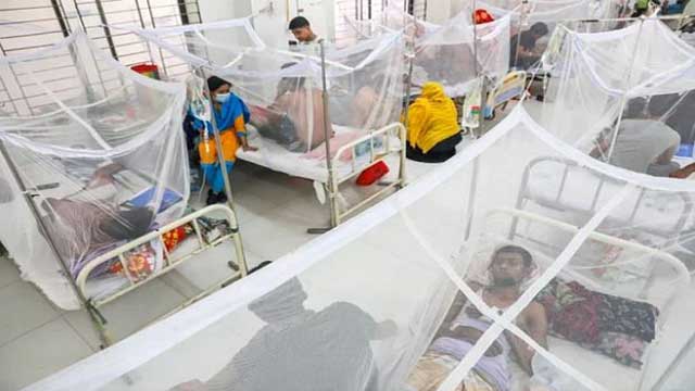 825,000 dengue cases in 8 months as death toll soars to 597