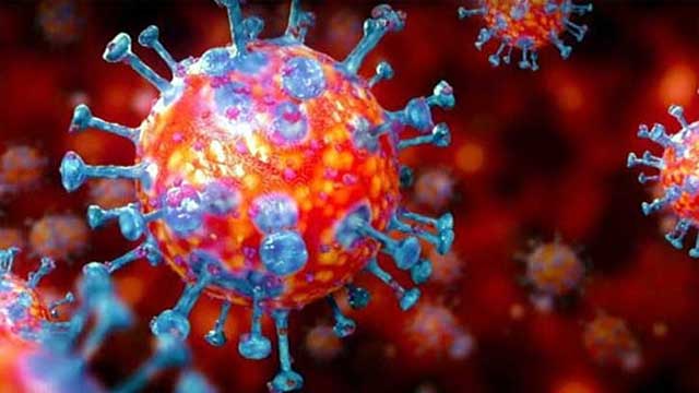 India reports first death of coronavirus patient