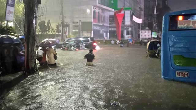 মিরপুরের যে ছবি দেখে আঁতকে উঠেছে মানুষ