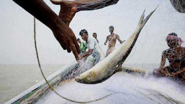 Ban on catching, selling hilsa from October 7-28