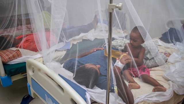 ‘3 more die of dengue’; new infection rate falls slightly