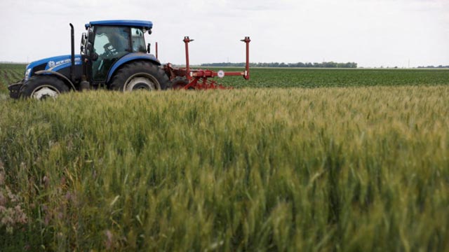 Turkey, Russia, Ukraine, UN set to meet on grain exports