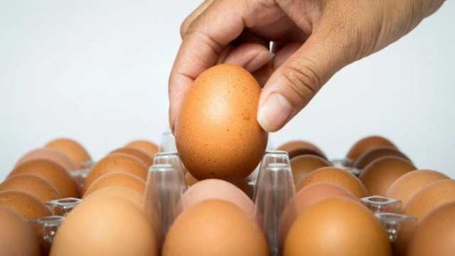 Govt finally okays import of eggs