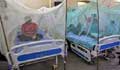 Bangladesh reports hospitalisation of 112 more dengue patients