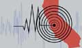 Magnitude 6.3 earthquake hits western Afghanistan: USGS