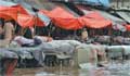 50 dead in Pakistan monsoon floods since last month