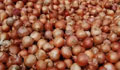 Decision on onion import in 2 to 3 days: minister