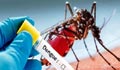 40 dengue patients hospitalised in 24 hours