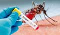 Bangladesh reports hospitalisation of 84 more dengue patients