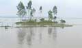 Teesta water recedes in Lalmonirhat, Kurigram still at flood risk