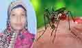 Housewife dies of dengue in Madaripur