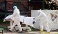 COVID-19 pandemic:  Global death toll reaches 385, 873