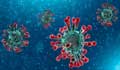 Coronavirus: Manikganj reports sixth case
