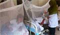 279 new Dengue patients hospitalised in 24 hours