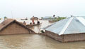 Fresh flood, erosion hit Kurigram, Madaripur hard