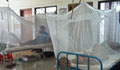 IEDCR confirms 75 dengue deaths
