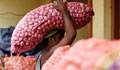 India bans onion export