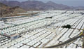 1,000 pilgrims arrive in Mina to perform hajj