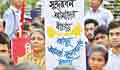 UN calls on Dhaka to stop industrialisation in Sundarbans