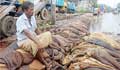 Govt decides to allow export of raw hide