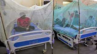 Dengue cases cross 22,000 mark
