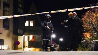 Five killed in Norway bow and arrow attack, man arrested