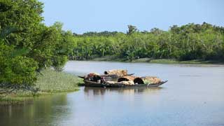 A plea for forgiveness to the Sundarbans