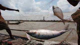 22-day ban on hilsa fishing starts at midnight