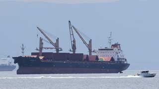 Three grain ships leave Ukraine