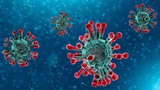 Kishoreganj reports 25 new coronavirus cases