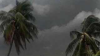 Three of a family killed by falling tree during Sunamganj storm