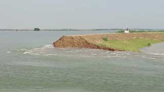 Nearly 6,000 hectares of cropland flooded as another Sunamganj dyke collapses