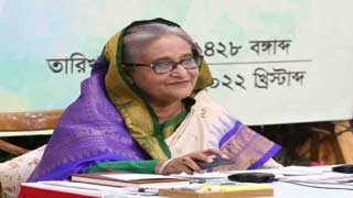US imposes sanctions on RAB without any fault: Hasina