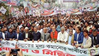BNP must lead efforts towards strong united front to oust govt: Mosharraf