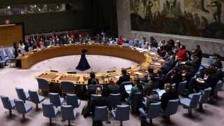 UN Security Council does not pass draft US resolution on Gaza ceasefire