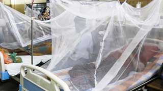 Govt updates dengue death toll to 104