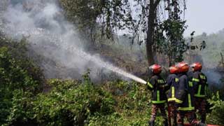 Blaze in Lawachara forest burns 1.5 acres