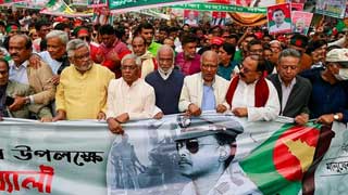 BNP holds Victory Day rally, vows to ‘restore democracy’