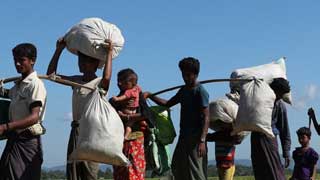 Bangladesh under pressure not to relocate Rohingyas in island