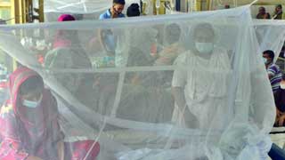 Dengue surge in Bangladesh: 204 more hospitalized in 24 hours