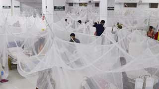 1,626 more hospitalized for dengue in 24hrs