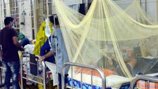 226 hospitalised with dengue across Bangladesh