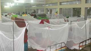 Five more die of dengue