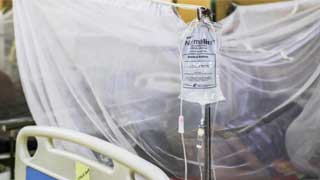 Woman dies of dengue, 6,035 patients undergoing treatment
