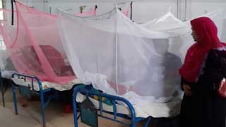 1,615 more hospitalized for dengue in 24hrs